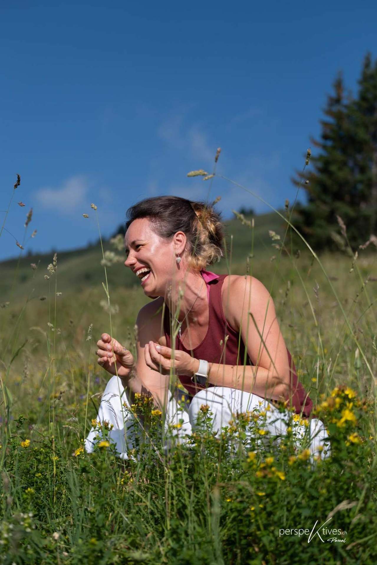 Les Aurores Boréales Émilie Juthier